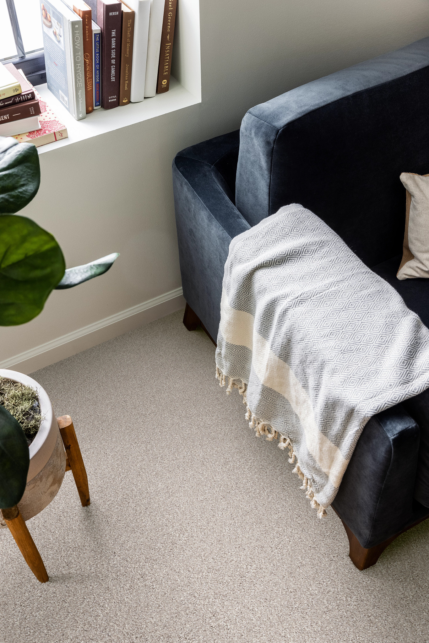 livingroom Bedroom with plush light gray carpet